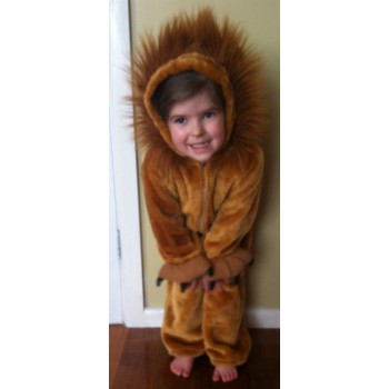Lion #1 KIDS HIRE